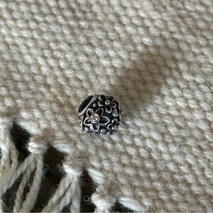 Pandora Two Tone Charm